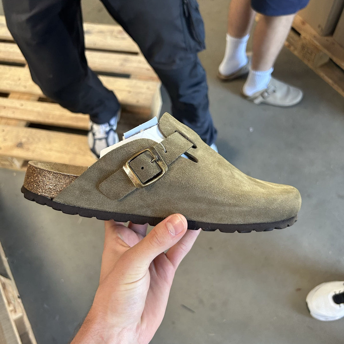 Bios Slides olive
